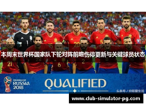 本周末世界杯国家队下轮对阵前瞻伤停更新与关键球员状态