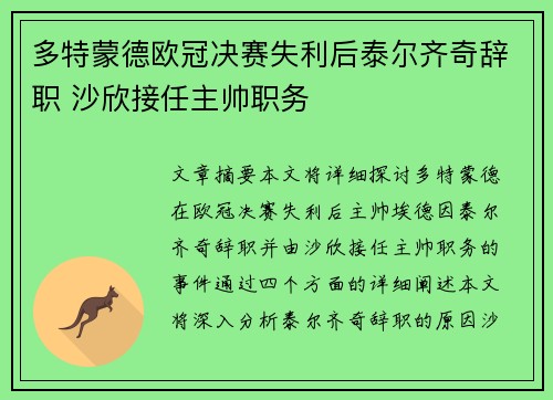 多特蒙德欧冠决赛失利后泰尔齐奇辞职 沙欣接任主帅职务